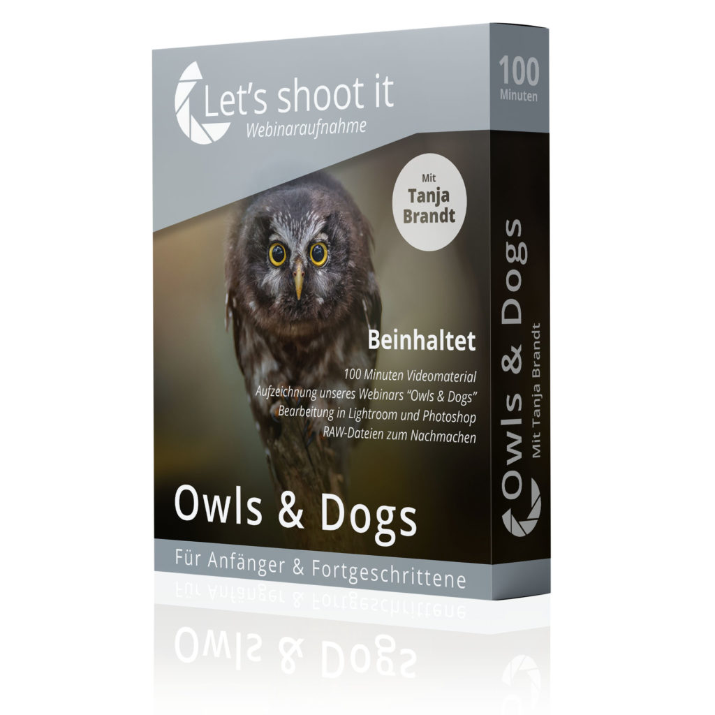 Tierfotografin Tanja zeig im Webinar Owls & Dogs die digitale Bearbeitung von Tierfotos